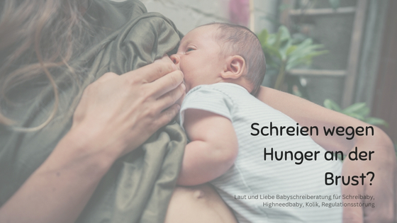 Brust anschreien. Baby weint an der Brust, Stillstreik. Laut und Liebe Babyschreiberatung für Schreibaby, Highneedbaby, Anpassungsstörung, Regulationsstörung und Dreimonatskoliken