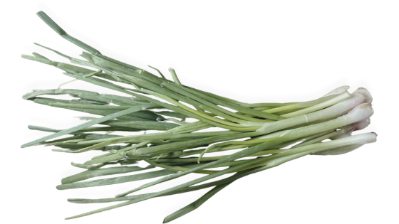 Natürliche Zahnungshilfen. Frühlingszwiebel. Baby zahnt. Was tun? Laut und Liebe Babyschreiberatung für Kolik, Schreibaby, Highneedbaby, Regulationsstörung.