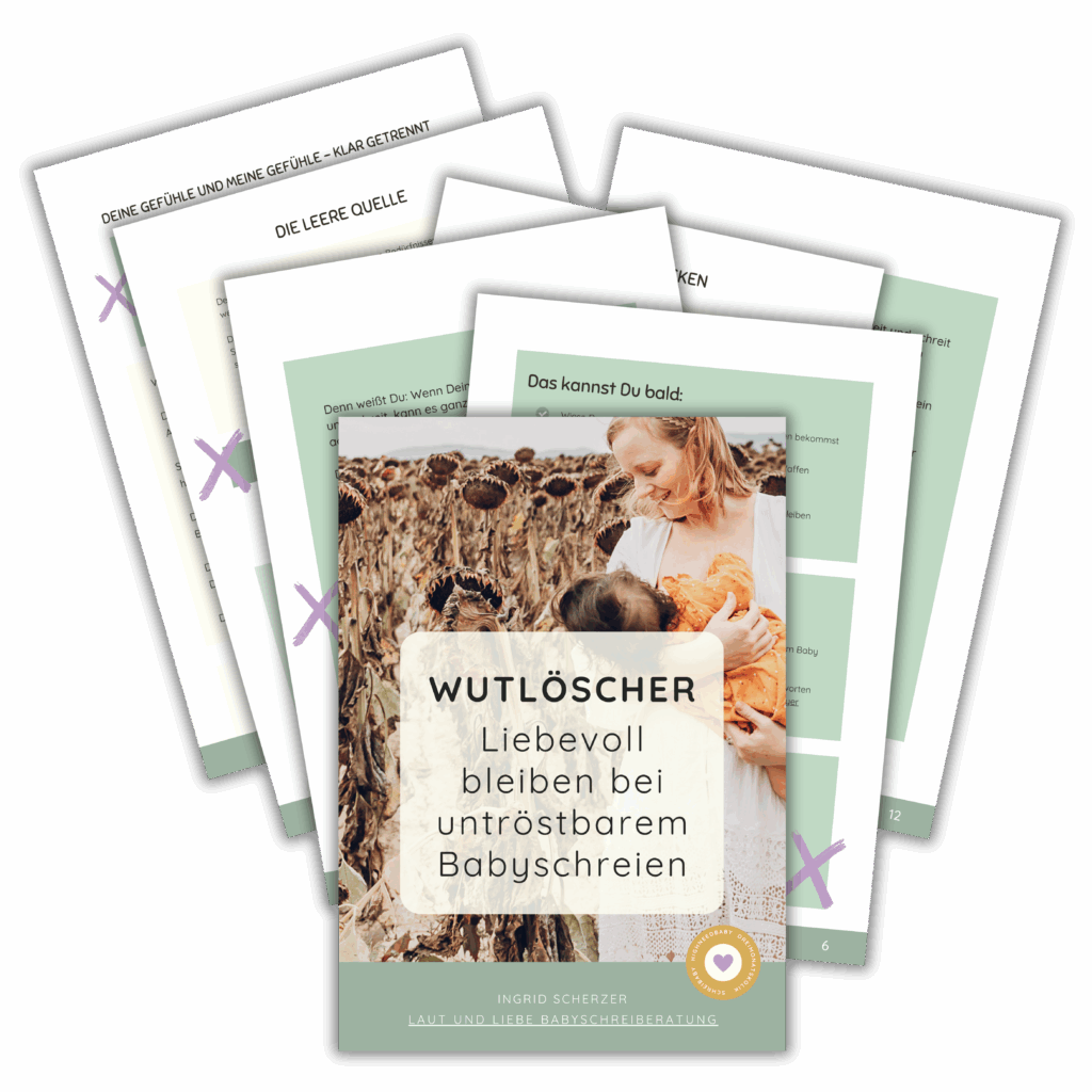 Wutloescher Schreibaby Highneedbaby Kolik Postpartum Schuetteltrauma.