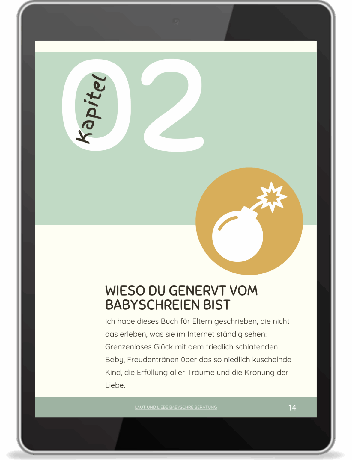 Kapitel 2. Wutloescher Schreibaby Highneedbaby Kolik Postpartum Schuetteltrauma