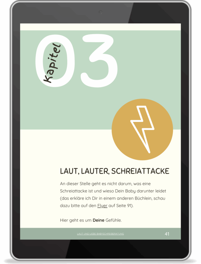 Kapitel 3. Wutloescher Schreibaby Highneedbaby Kolik Postpartum Schuetteltrauma