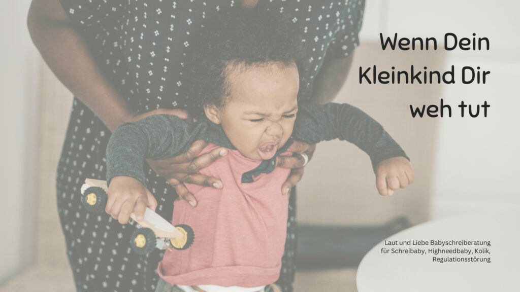 Wilde Kleinkinder. Wutanfall. Wilde, laute Kleinkinder spucken und schlagen.
Laut und Liebe Babyschreiberatung für Schreibaby, Highneedbaby, Kolik, Regulationsstörung.